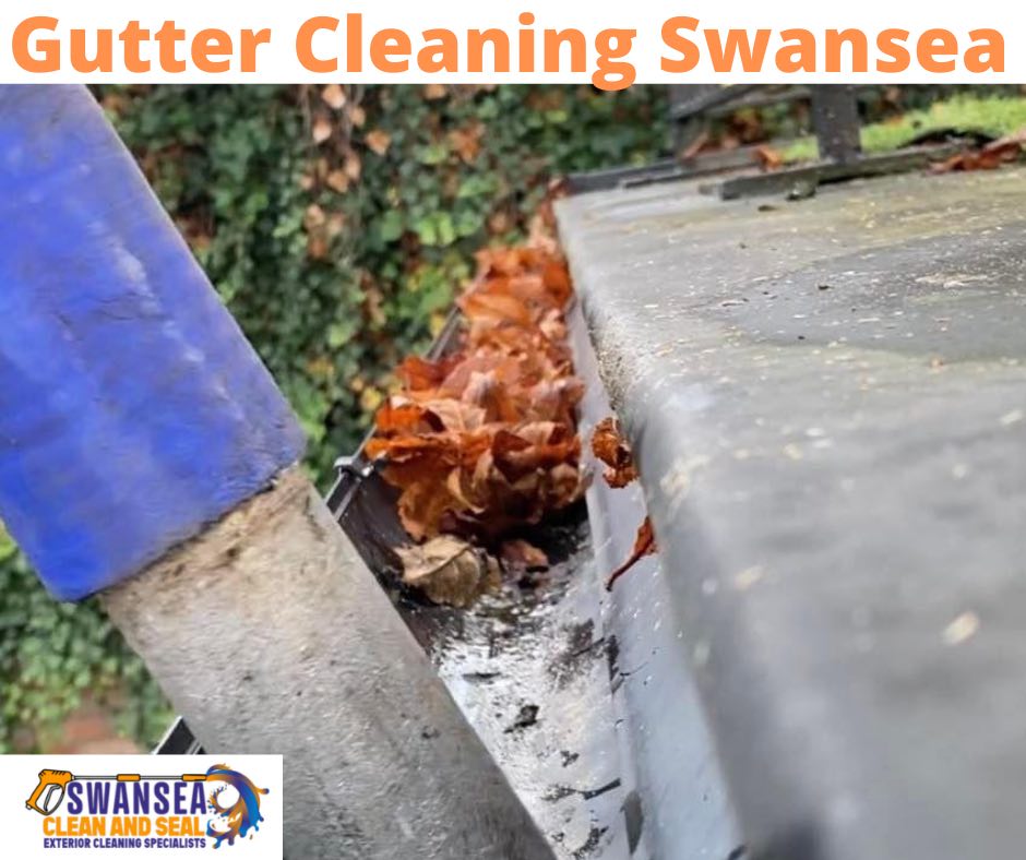 Gutter Cleaning Swansea