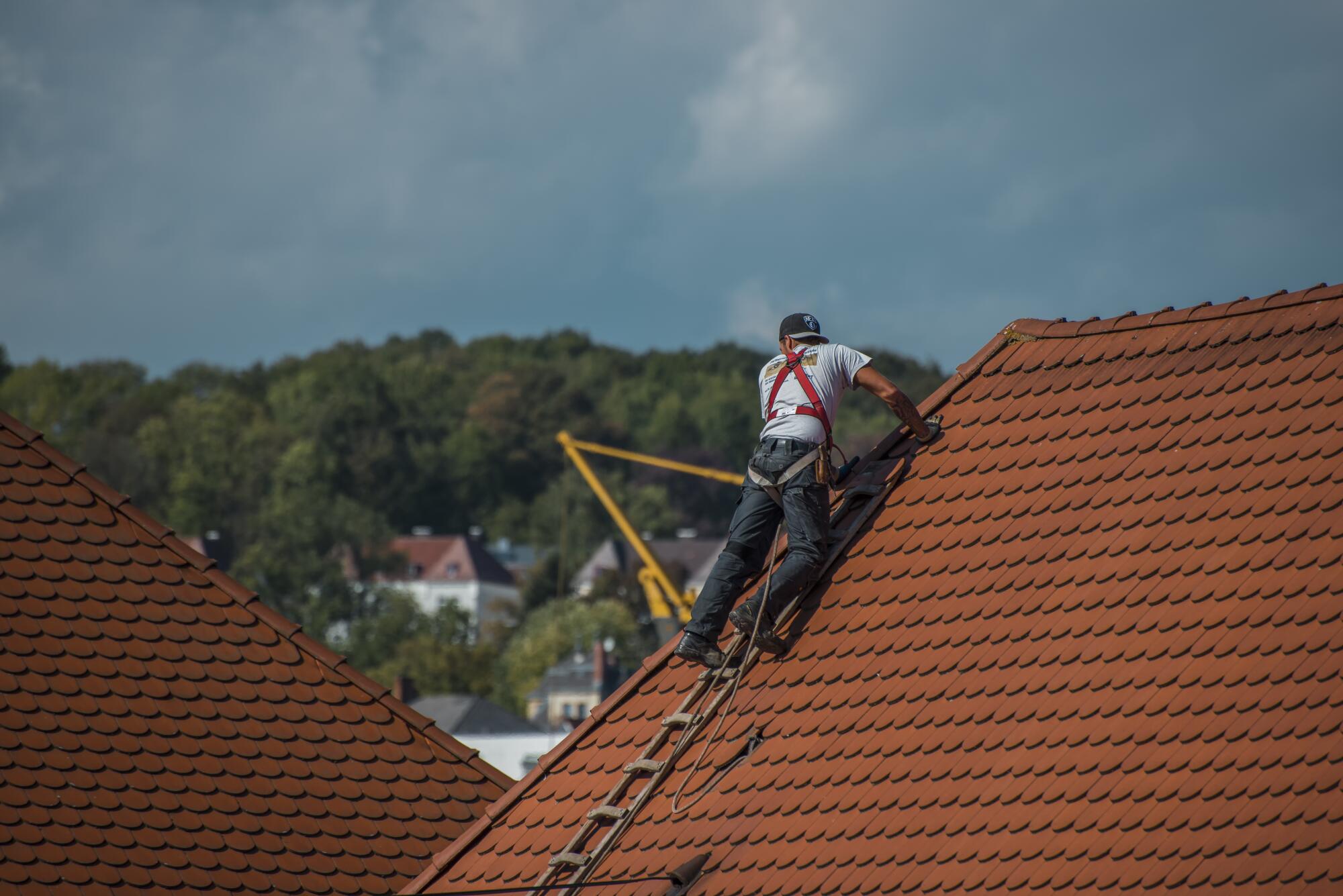 Roof Cleaning, Roof Cleaning Companies Swansea, Swansea Clean & Seal