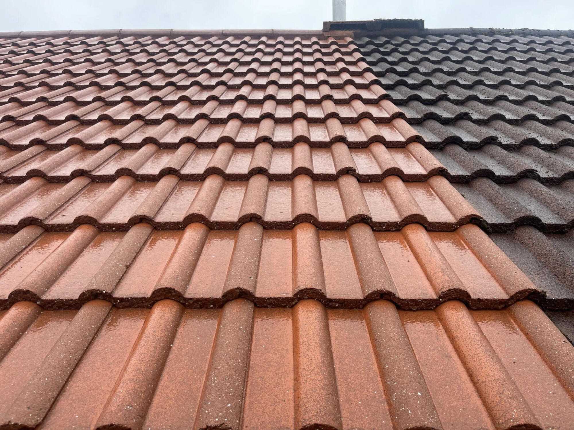 tile roof cleaning