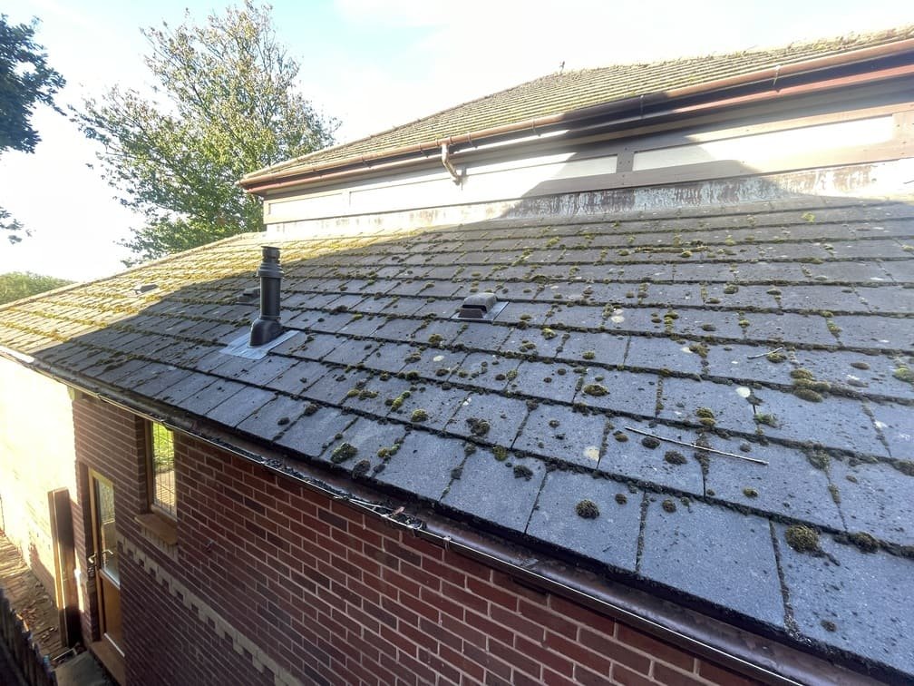 Roof Cleaning Service, Roof Cleaning Near me, Swansea Clean Seal, Moss removal, Lichen removal