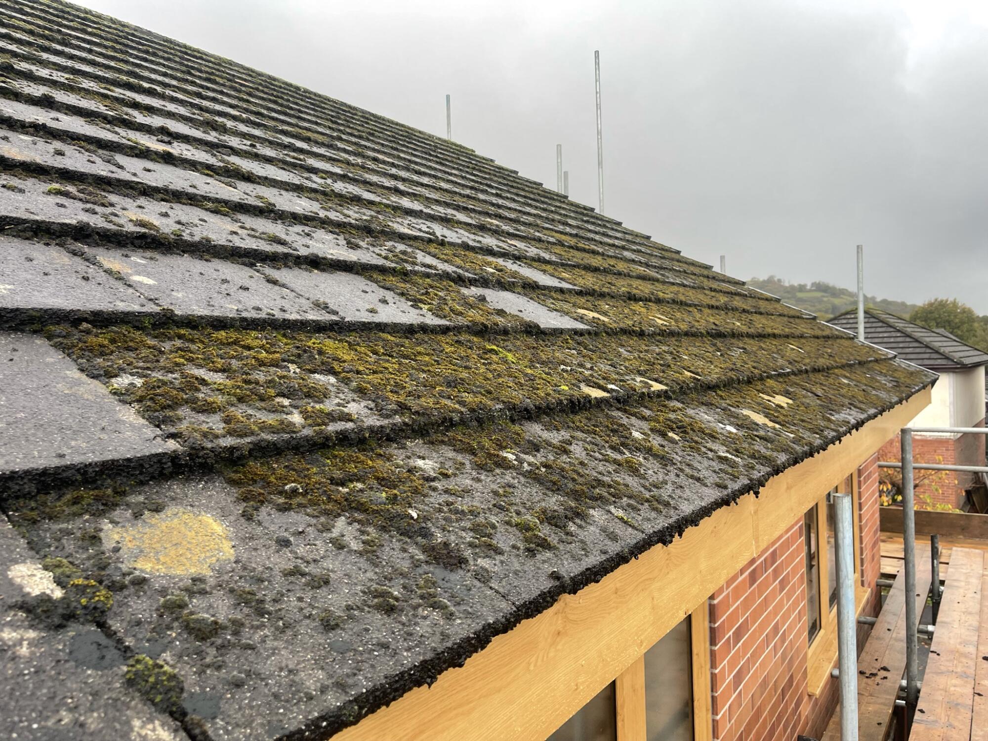 roof moss treatment