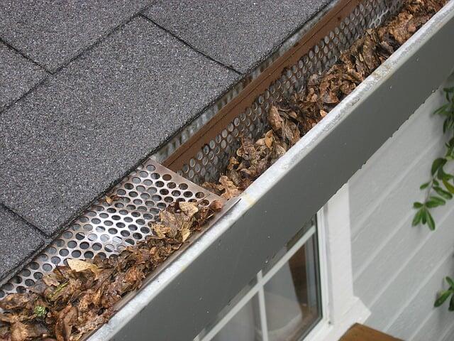 roof cleaning and gutter cleaning