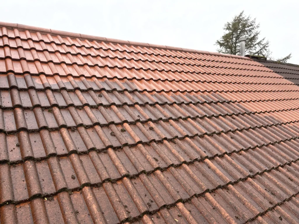 Professional roof cleaning in Bridgend for a moss-free and spotless roof