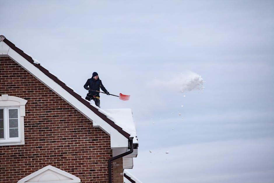 residential roof cleaning