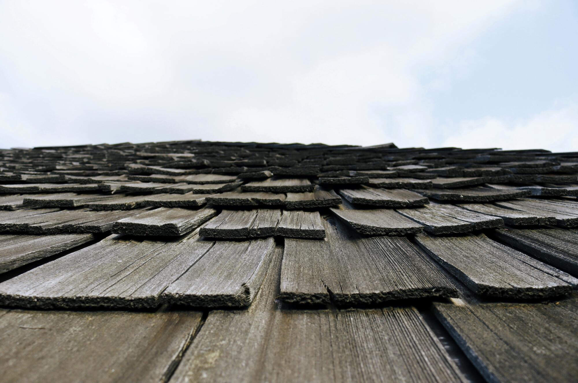 roof cleaning cost