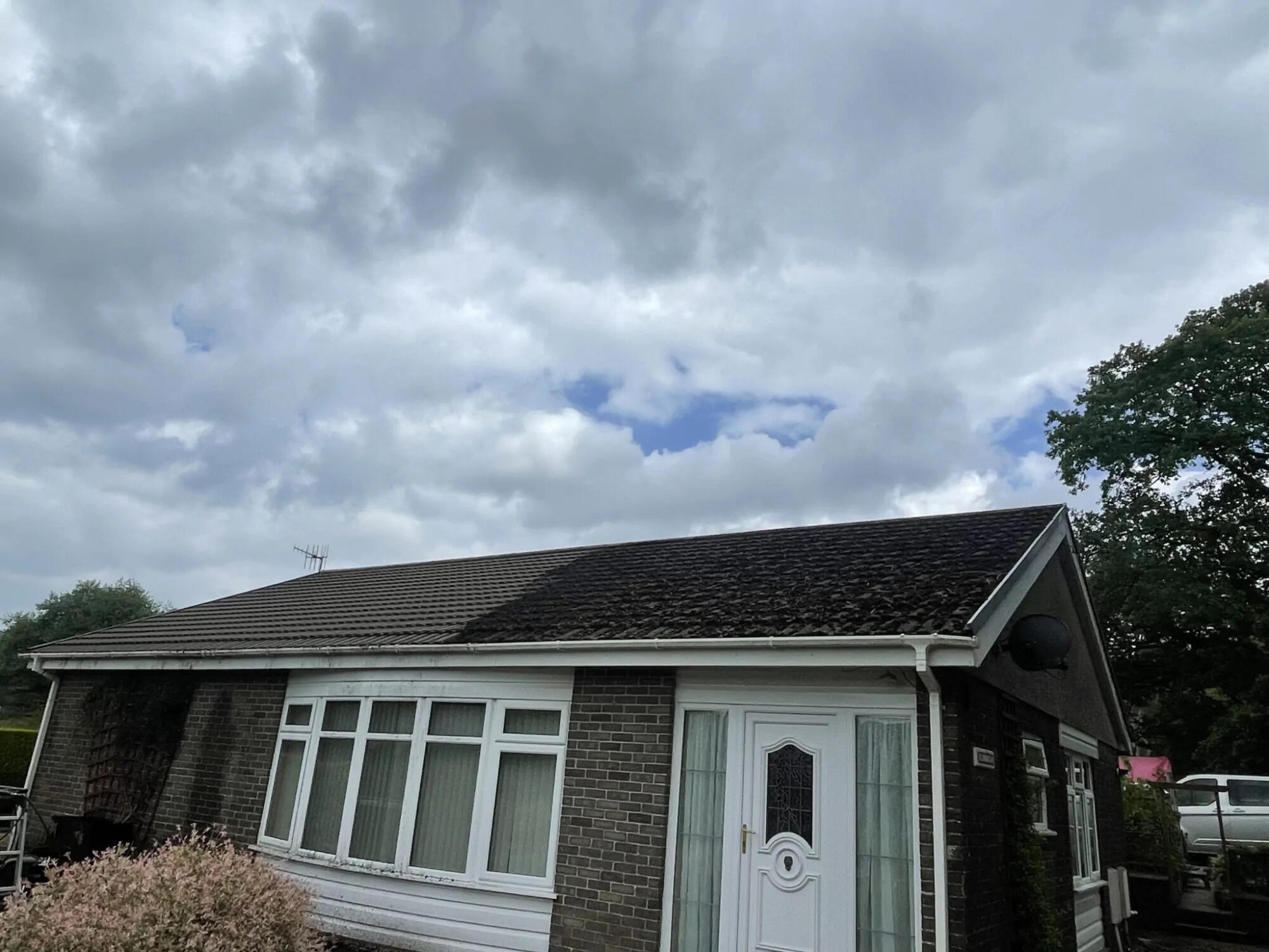 roof streaks